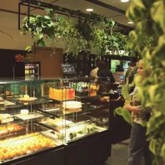 Gdzie zjeść w Łazienkach Królewskich: najlepsze restauracje i kawiarnie